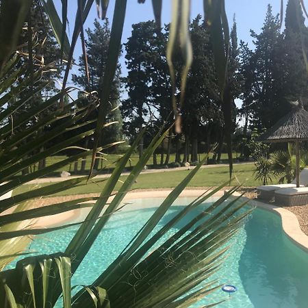 Mas Des Limites Panzió Rognonas Kültér fotó